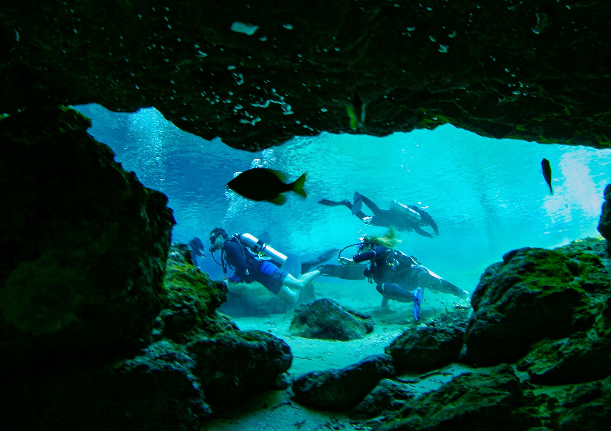 unterwasserhöhle und fische beim tauchen