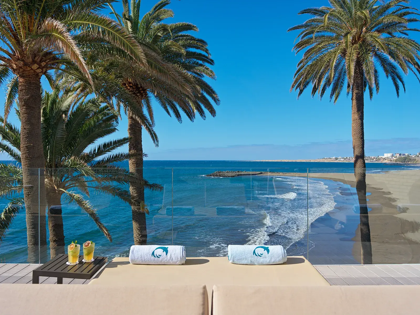 Beach loungers overlooking the sea, surrounded by palm trees