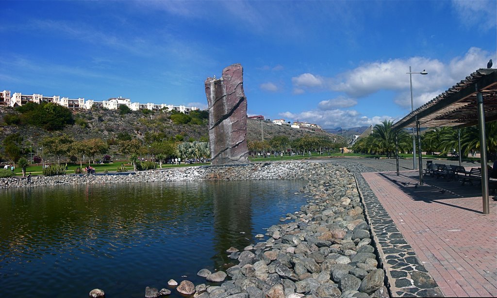 parque sur in maspalomas lagoon