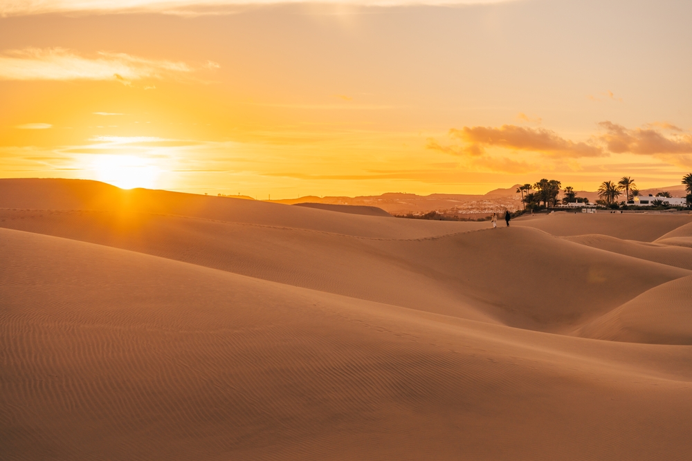 sonnenuntergang in den dünen von maspalomas