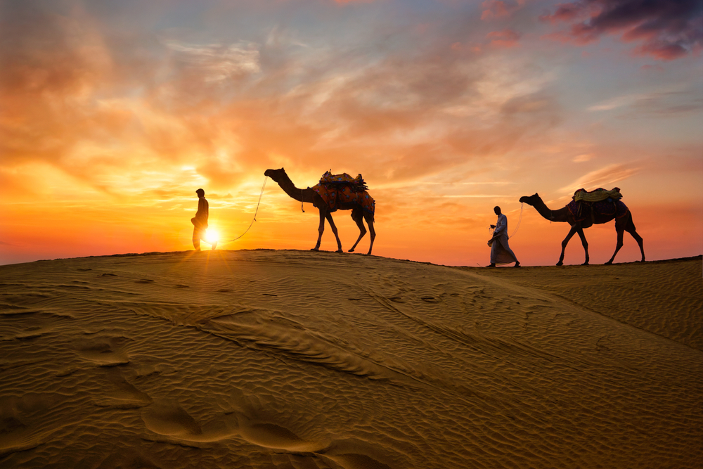 paseo en camello