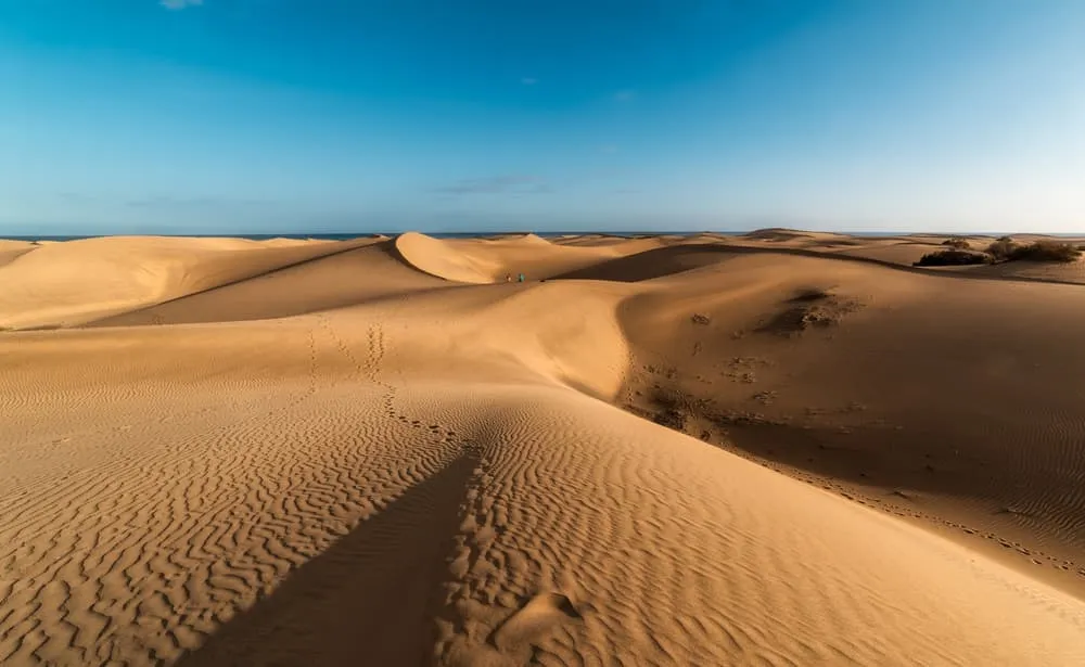 Maspalomas Dunes