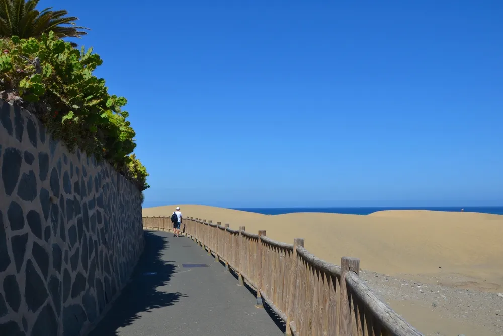 dunas de maspalomas