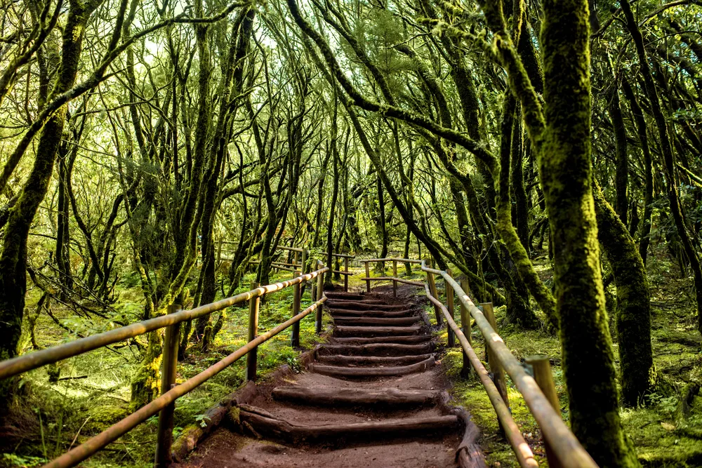 garajonay national park